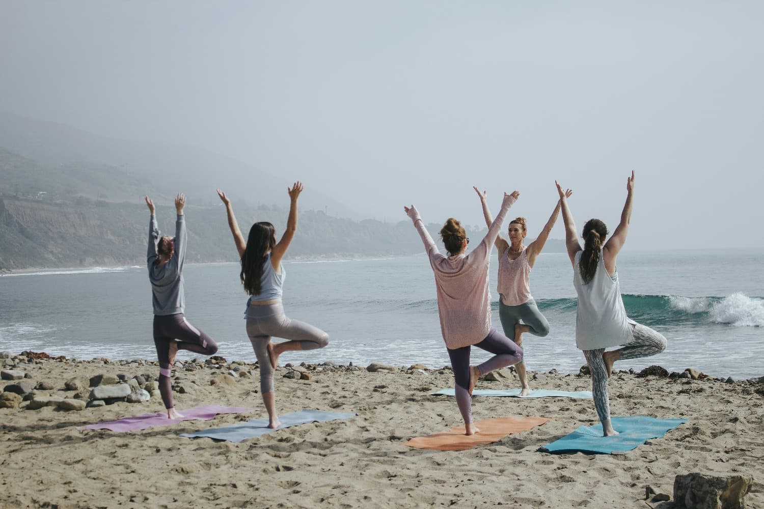 Wellness & Holistic Health